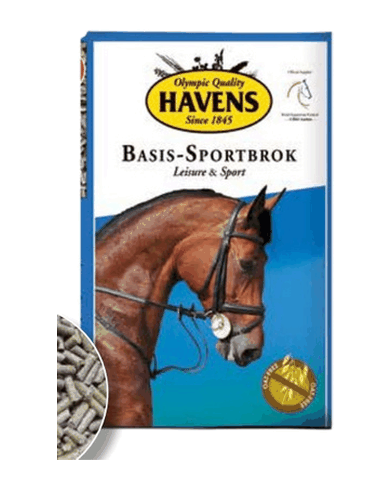 Confezione di BASIS-SPORTBROK di Havens