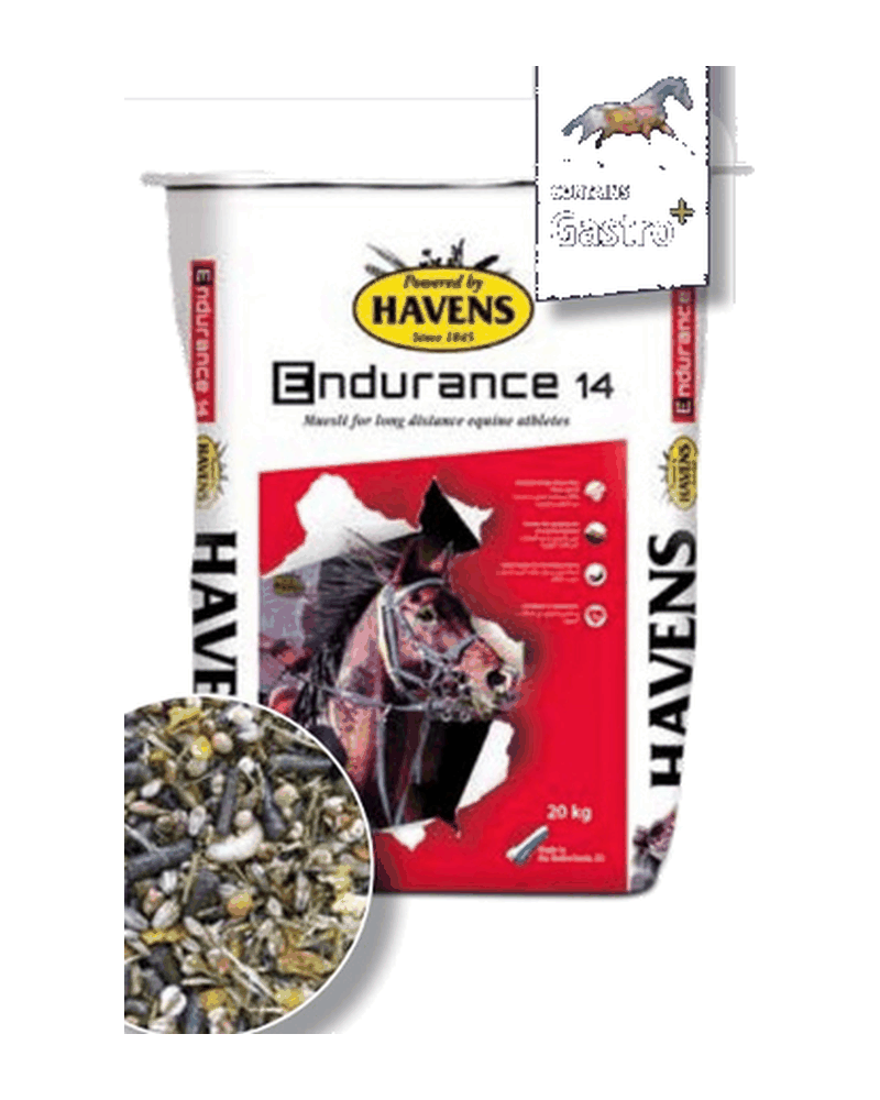 Confezione di ENDURANCE 14 di Havens