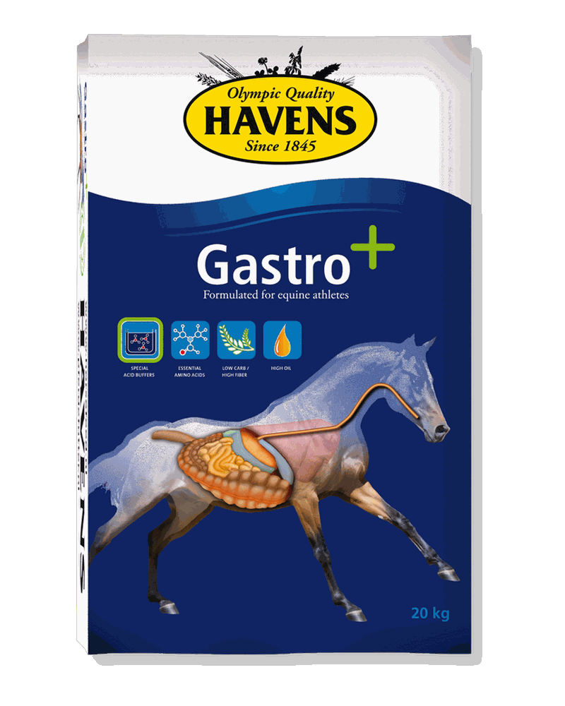 Sacco da 20 kg di GASTRO+ di Havens