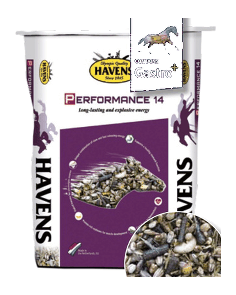 Confezione di PERFORMANCE 14 di Havens
