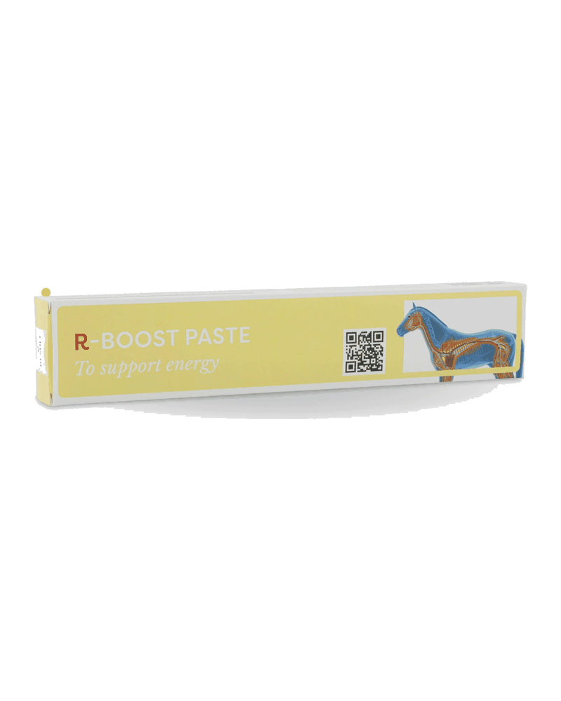 Confezione di R-BOOST PASTE di Result Equine