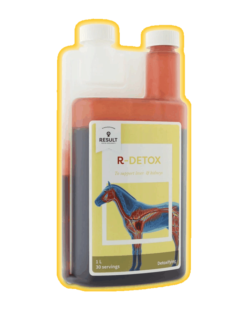 Confezione di R-DETOX di Result Equine