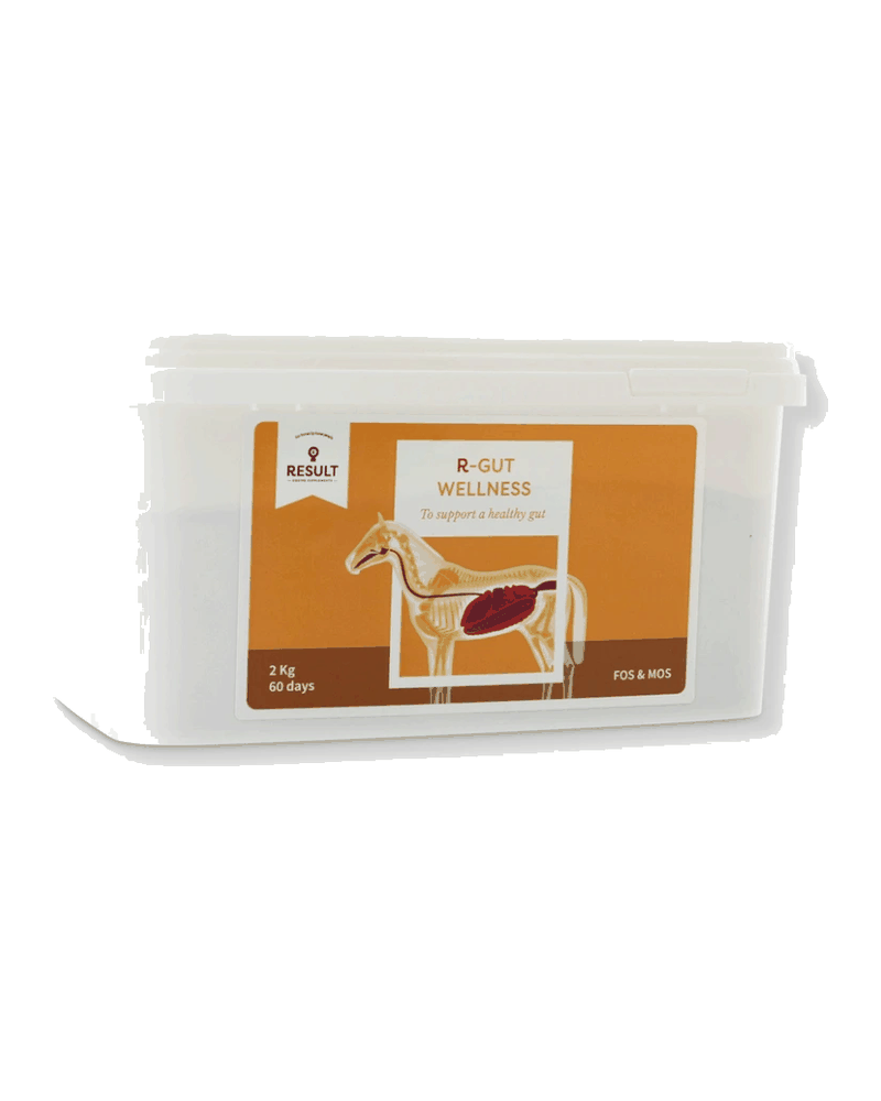 Confezione di R-GUT WELLNESS di Result Equine