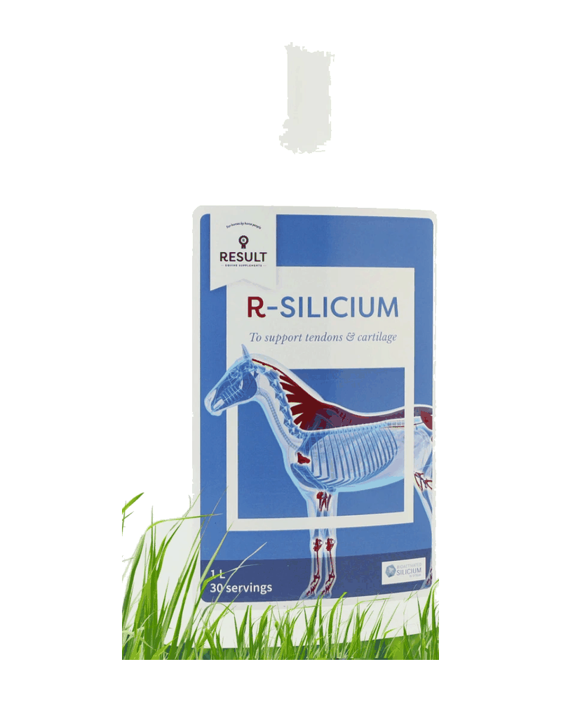 Confezione di R-SILICIUM di Result Equine